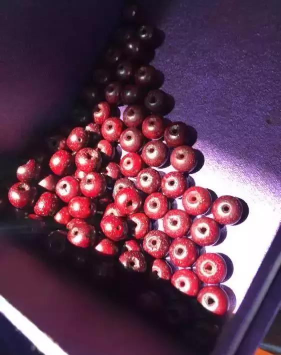 教你做条朱砂供玩玩！