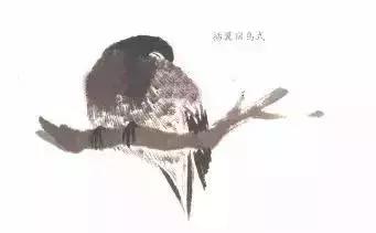 分步骤详解，写意翎毛基本画法，从结构到姿态，跟着学有大收获