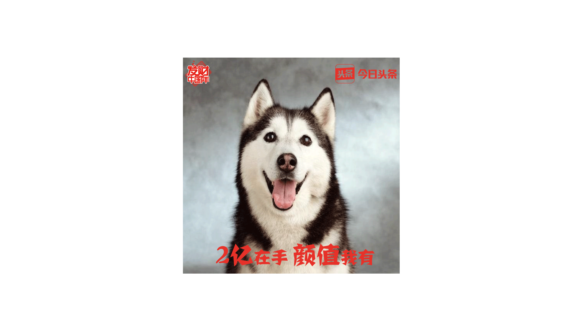 阿发狗是什么（人机大战阿法狗智能写作）