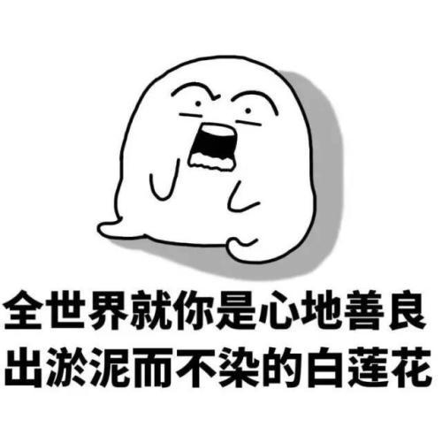 白莲花什么意思（形容白莲花女生特点）