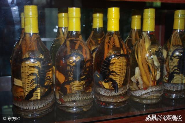 蝎子泡酒的功效与作用(蝎子泡酒起什么作用)