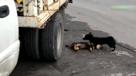 酒干倘卖无的故事原型（酒干倘卖无的真实原型）