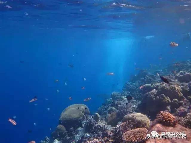 帕劳在哪个国家(帕劳为什么不能去了)