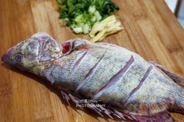 桂鱼怎么做比较好吃（家常红烧桂鱼做法）