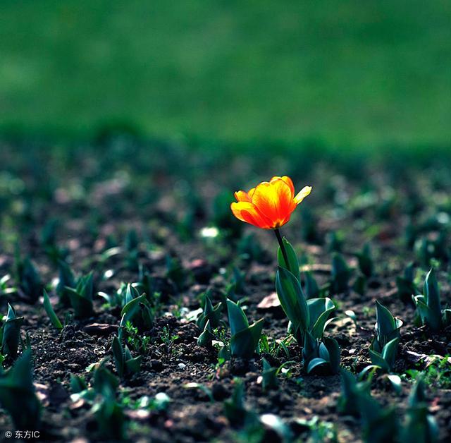 缄默是什么意思（缄默症也是对生活的态度）