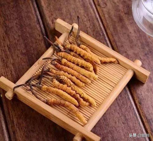 虫草的最佳吃法（虫草泡水一次几根）