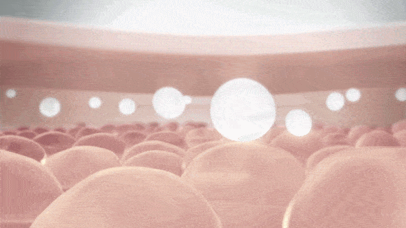 抗氧化是什么意思(抗氧化对身体有什么好处)