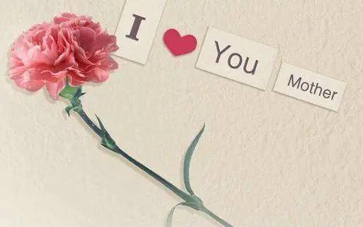 母亲节是几月几日(给母亲的母亲节礼物)