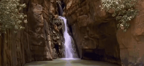 麦地那龙线虫病的症状(麦地那龙线虫图片)