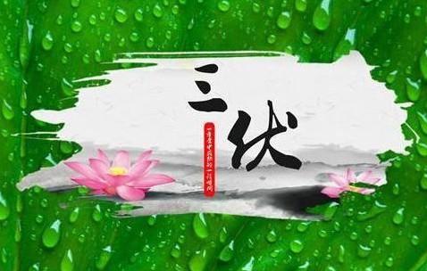 三伏天从什么时候开始（为什么三伏天有30-40天）