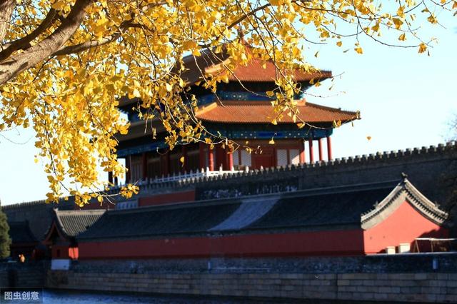 孔令杰结过两次婚,有四个孩子,却只有一个孙子