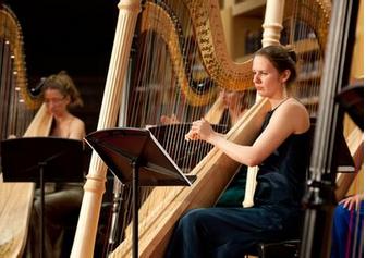 竖琴好学吗前景如何（竖琴为什么很少人学）