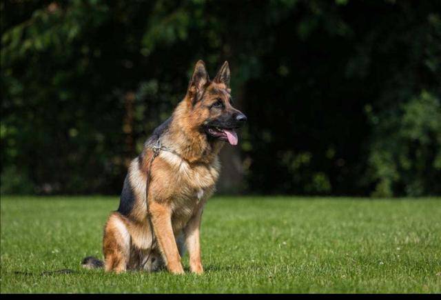 酒干倘卖无的故事原型（酒干倘卖无的真实原型）