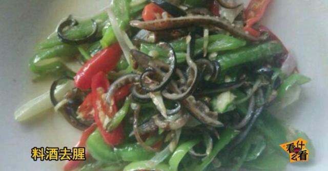 水蛭怎么吃?水蛭的功效与作用!