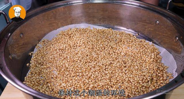 麦芽糖怎么做(白砂糖怎么做麦芽糖教程)