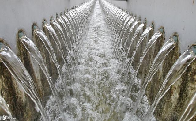 自来水养鱼怎么才不死？自来水养鱼怎么处理水