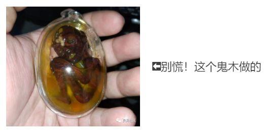 泰国养小鬼是什么意思（明星养小鬼的真实事件）