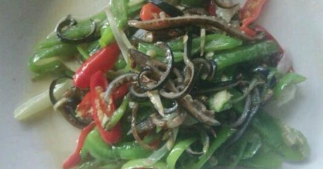 水蛭怎么吃?水蛭的功效与作用!