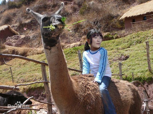 羊驼怎么叫(羊驼叫声是什么样子的)