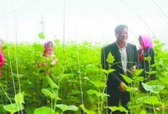 挂职是什么意思（挂职和任职的区别）