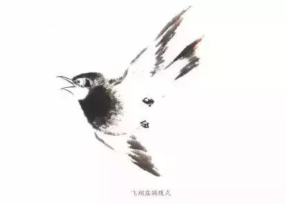 分步骤详解，写意翎毛基本画法，从结构到姿态，跟着学有大收获