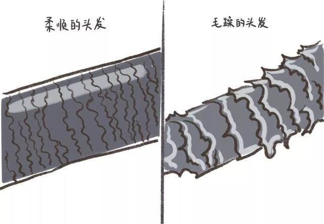 头发干燥毛糙怎么办（改善头发干枯毛躁偏方）