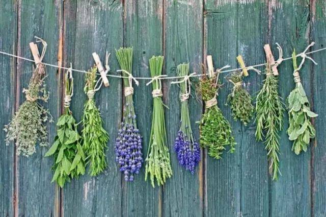 如何制作干花不变色(自制干花最快的方法)