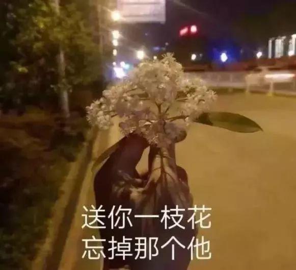 石楠的味道（石楠花的味道像什么）