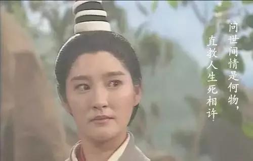 雅夫人历史是真的吗（寻秦记古天乐雅夫人）