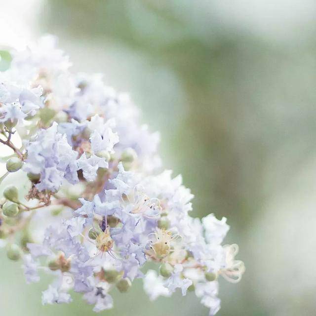 座右铭是什么意思（正能量激励自己的座右铭）