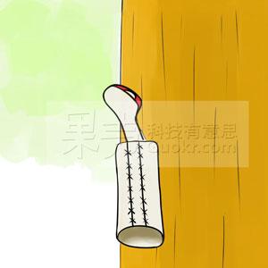 性取向是什么意思（ 性取向不正常的预兆）