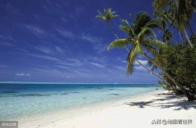 对中国落地签的国家（对中国免签的国家）