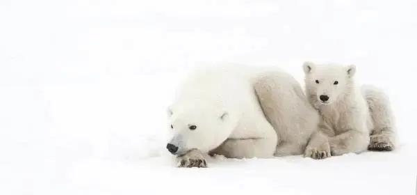 指南针怎么看东南西北（手机指南针怎么看图解）