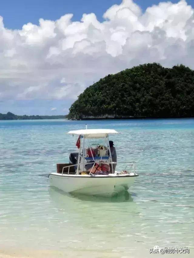 帕劳在哪个国家(帕劳为什么不能去了)