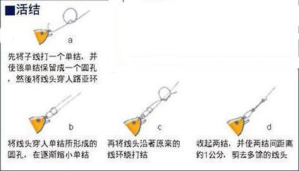 鱼线打结方法图解 鱼线绑在竿稍上图解