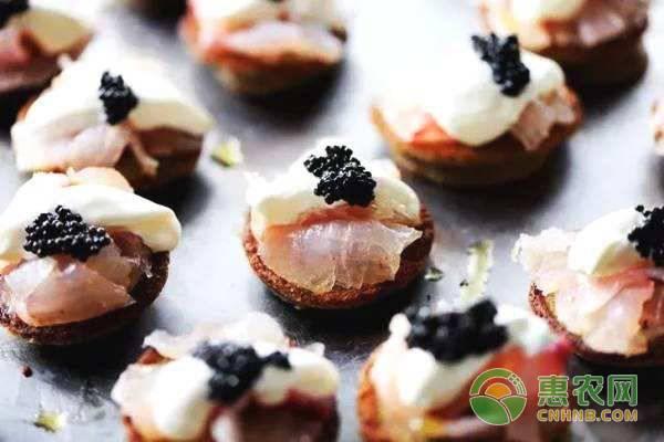 鱼子酱价格多少钱一斤(鱼子酱怎么吃才正确)