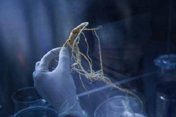 丁家宜化妆品怎么样(丁家宜为什么那么便宜)