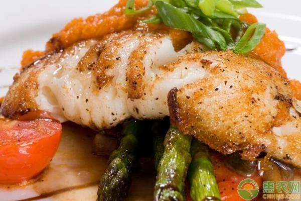 石斑鱼多少钱一斤？各种石斑鱼价格表！