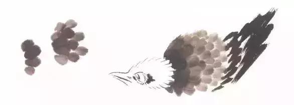 分步骤详解，写意翎毛基本画法，从结构到姿态，跟着学有大收获