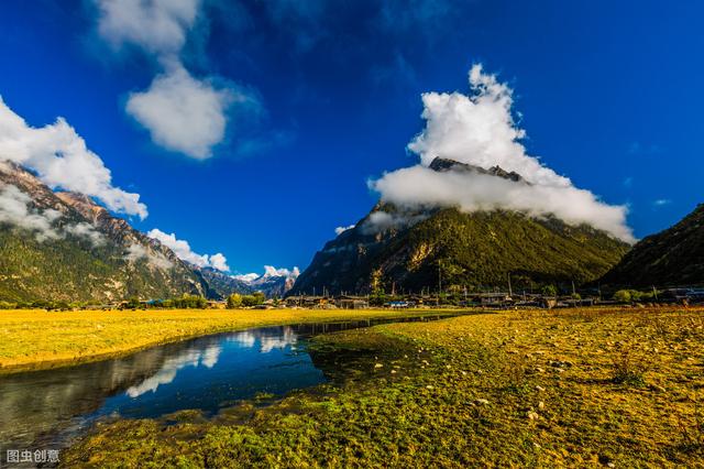 青稞是什么样子图片（ 青稞的功效与作用）