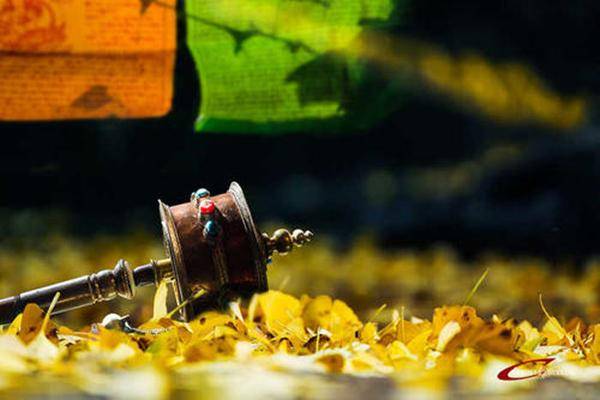 富含哲理的诗句有哪些（蕴含人生哲理的古诗）