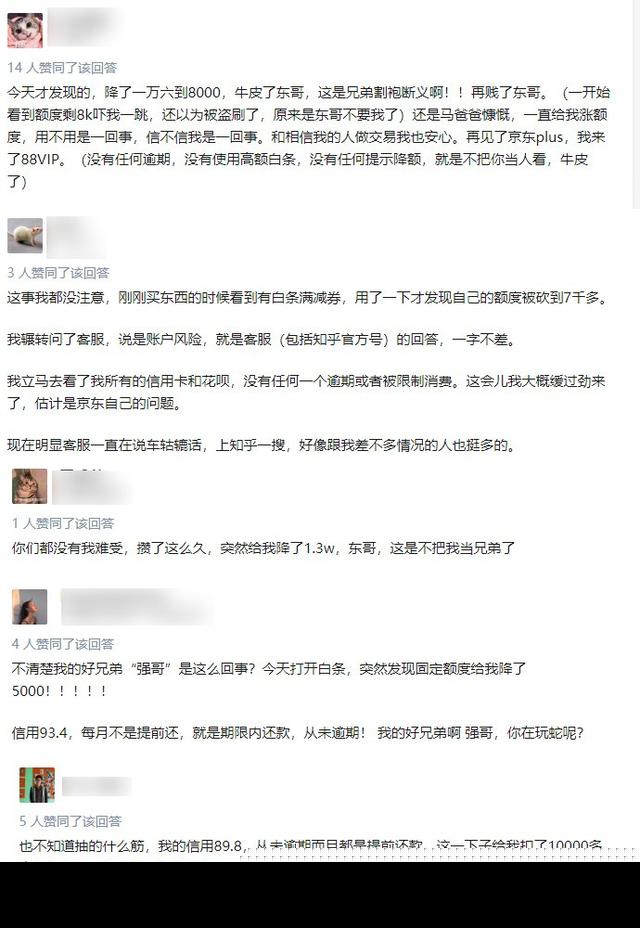 京东白条安全吗（为什么京东白条突然降额度了）