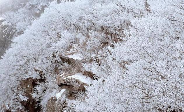 三伏天从什么时候开始（为什么三伏天有30-40天）