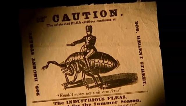 麦地那龙线虫病的症状(麦地那龙线虫图片)