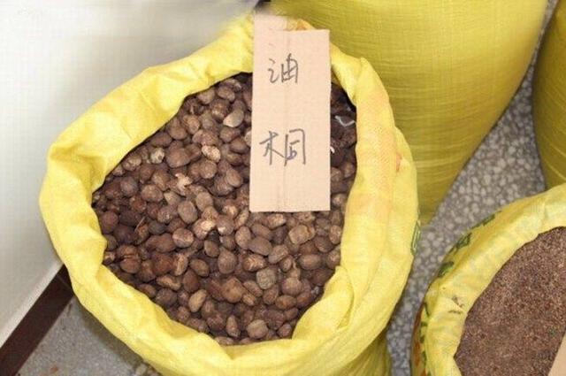 桐油多少钱一斤(桐油市场价一吨的价格)