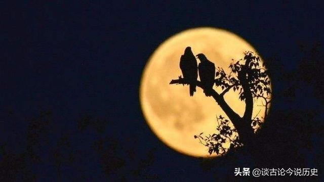 千里共婵娟是什么意思(千里共婵娟婵娟指什么)