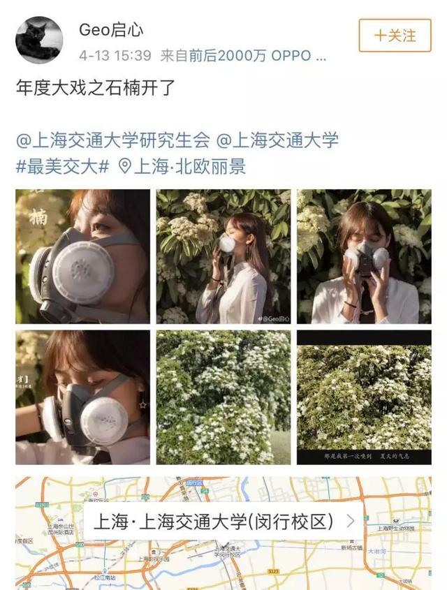 石楠的味道（石楠花的味道像什么）