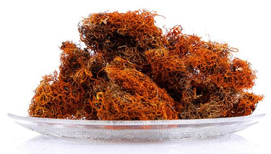 红雪茶的功效与作用（正确的冲泡方法）