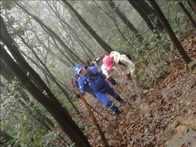 指南针怎么用(迷路了指南针正确使用方法)