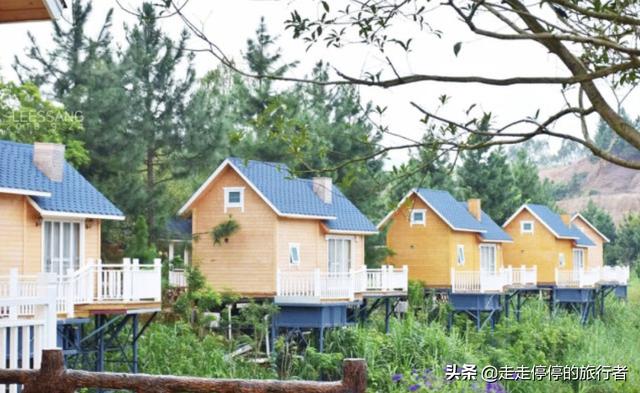 徐其修凉茶怎么样(徐其修凉茶喝了有用吗)